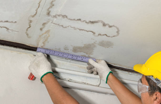 Reliable Burst Pipe Cleanup contractor in Keene, KY by Water Damage Irwin